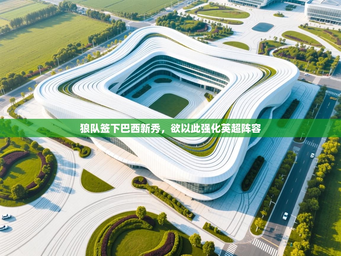 开云体育注册下载-狼队签下巴西新秀,欲以此强化英超阵容 第1张