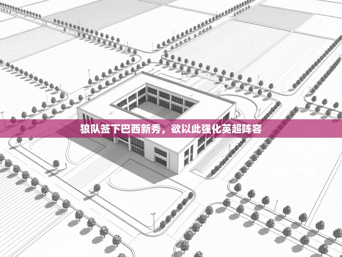 开云体育注册下载-狼队签下巴西新秀,欲以此强化英超阵容 第3张