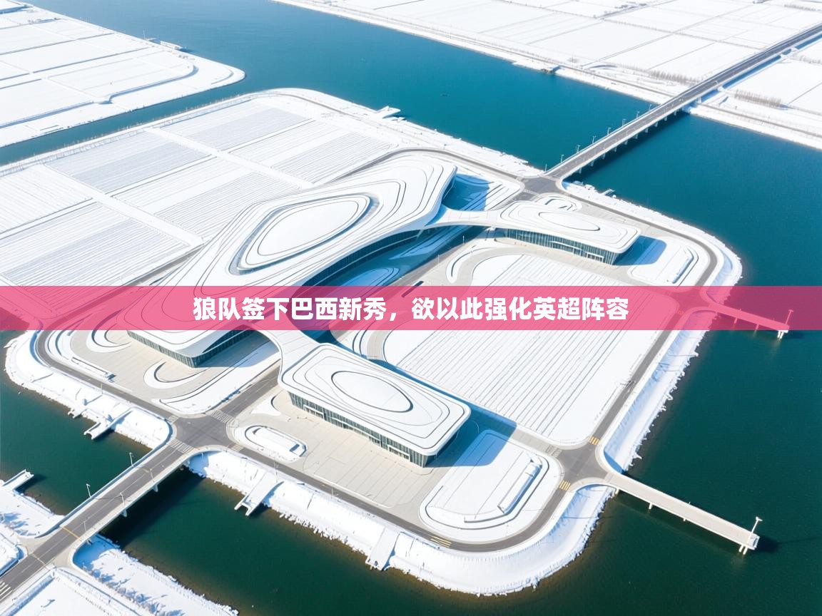 开云体育注册下载-狼队签下巴西新秀,欲以此强化英超阵容 第2张