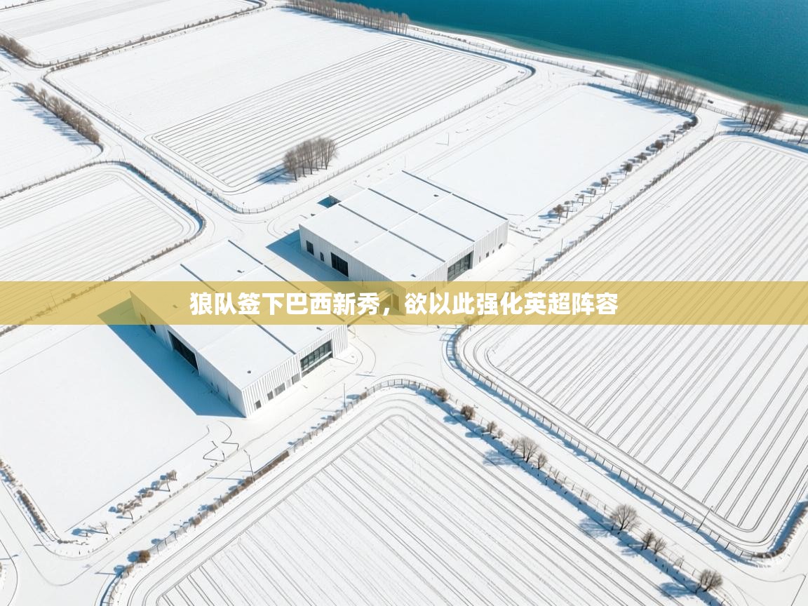 开云体育注册下载-狼队签下巴西新秀,欲以此强化英超阵容 第4张