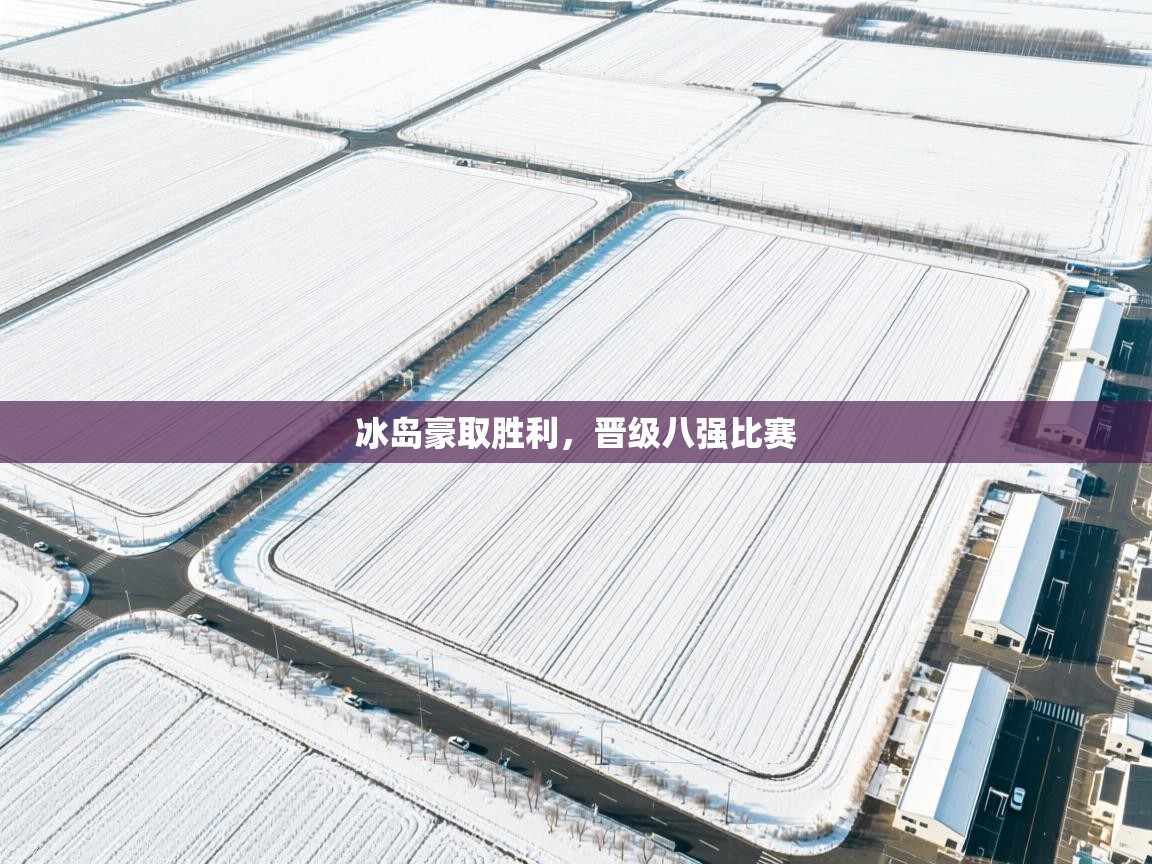 开云体育app下载-冰岛豪取胜利,晋级八强比赛 第1张