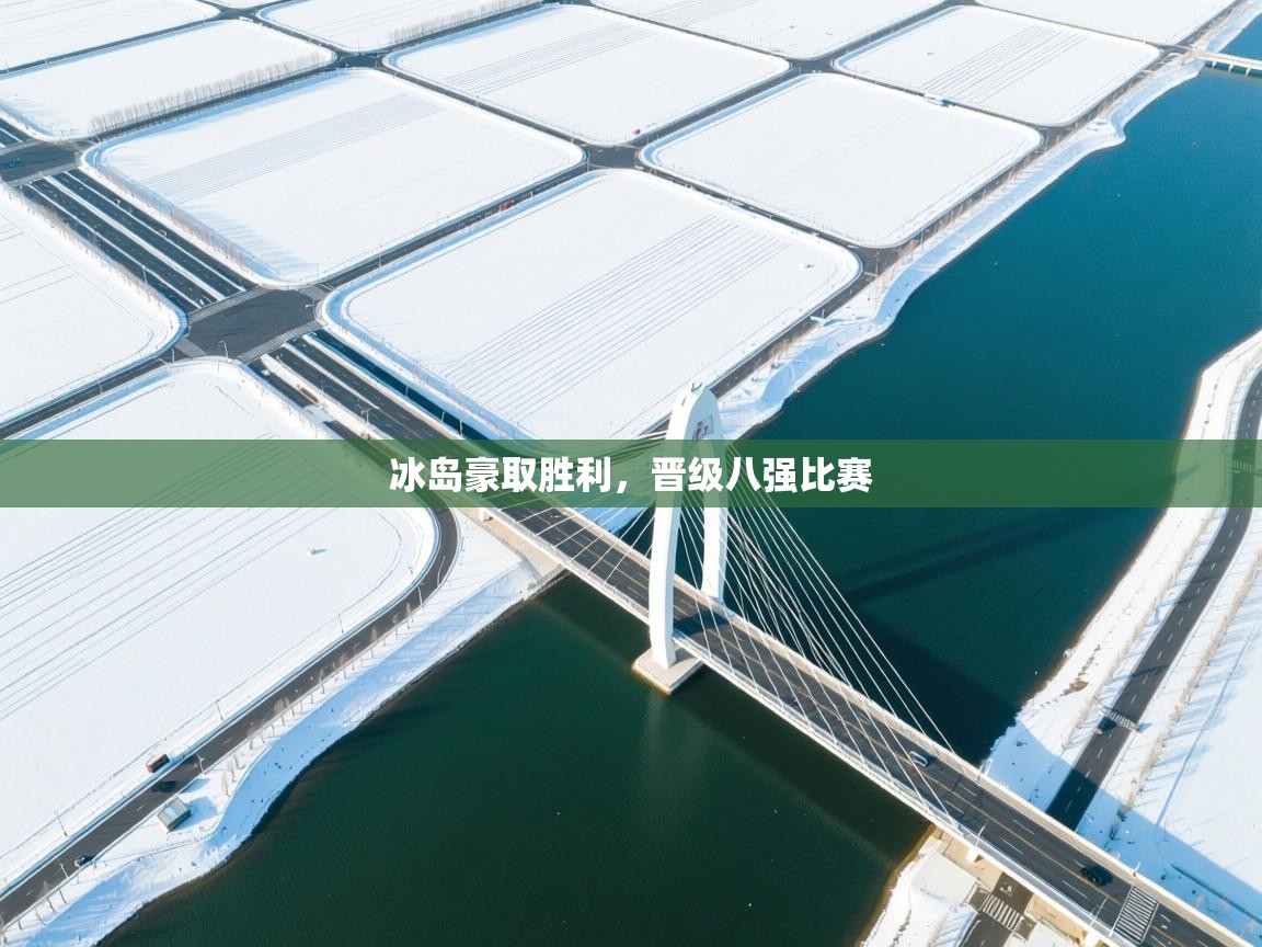 开云体育app下载-冰岛豪取胜利,晋级八强比赛 第3张