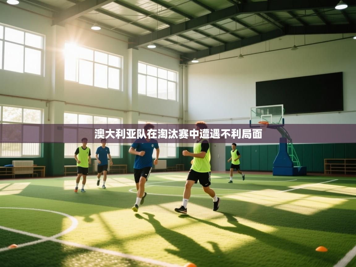 开云体育注册下载-澳大利亚队在淘汰赛中遭遇不利局面  第3张