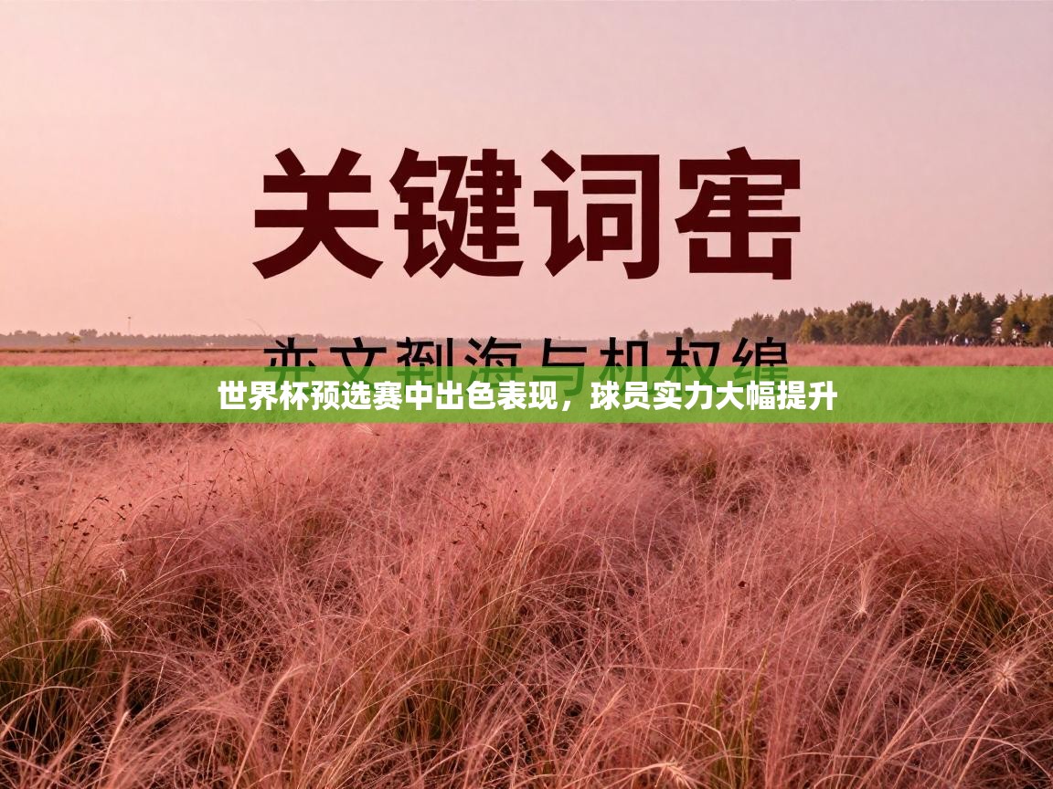 开云体育消息订阅关闭-世界杯预选赛中出色表现,球员实力大幅提升 第4张