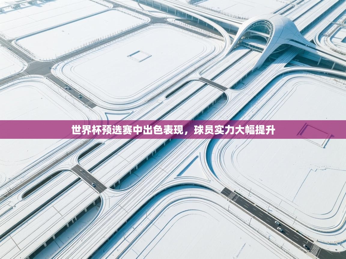 开云体育消息订阅关闭-世界杯预选赛中出色表现,球员实力大幅提升 第2张